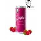Kombucha Himbeere