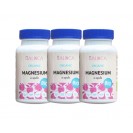 Magnesium aus ökologischem Landbau 3 x 60 Kapseln + kostenlose Lieferung 