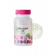 collagen up im Kapseln
