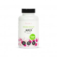 Maca v kapsulah