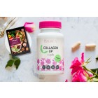 Collagen up + Rezepte