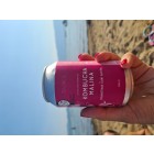 Kombucha