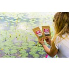 Spirulina & chlorella