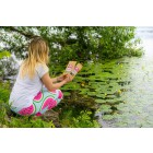 Spirulina & chlorella