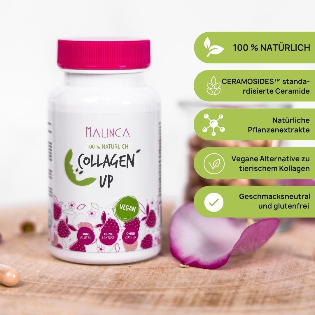 collagen up im Kapseln