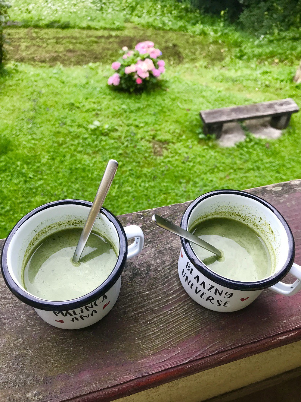 Matcha Latte aus ökologischem Landbau