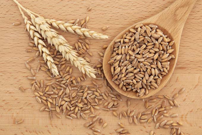 Dinkelgrieß Vollkorn aus ökologischem Landbau 500g