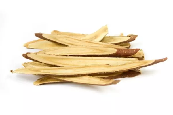 Astragalus