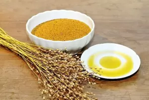Totrovo/ričkovo olje - zakladnica zdravih maščobnih kislin