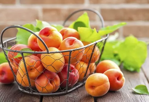 Marelice – žlahten sadež za dolgo in zdravo življenje