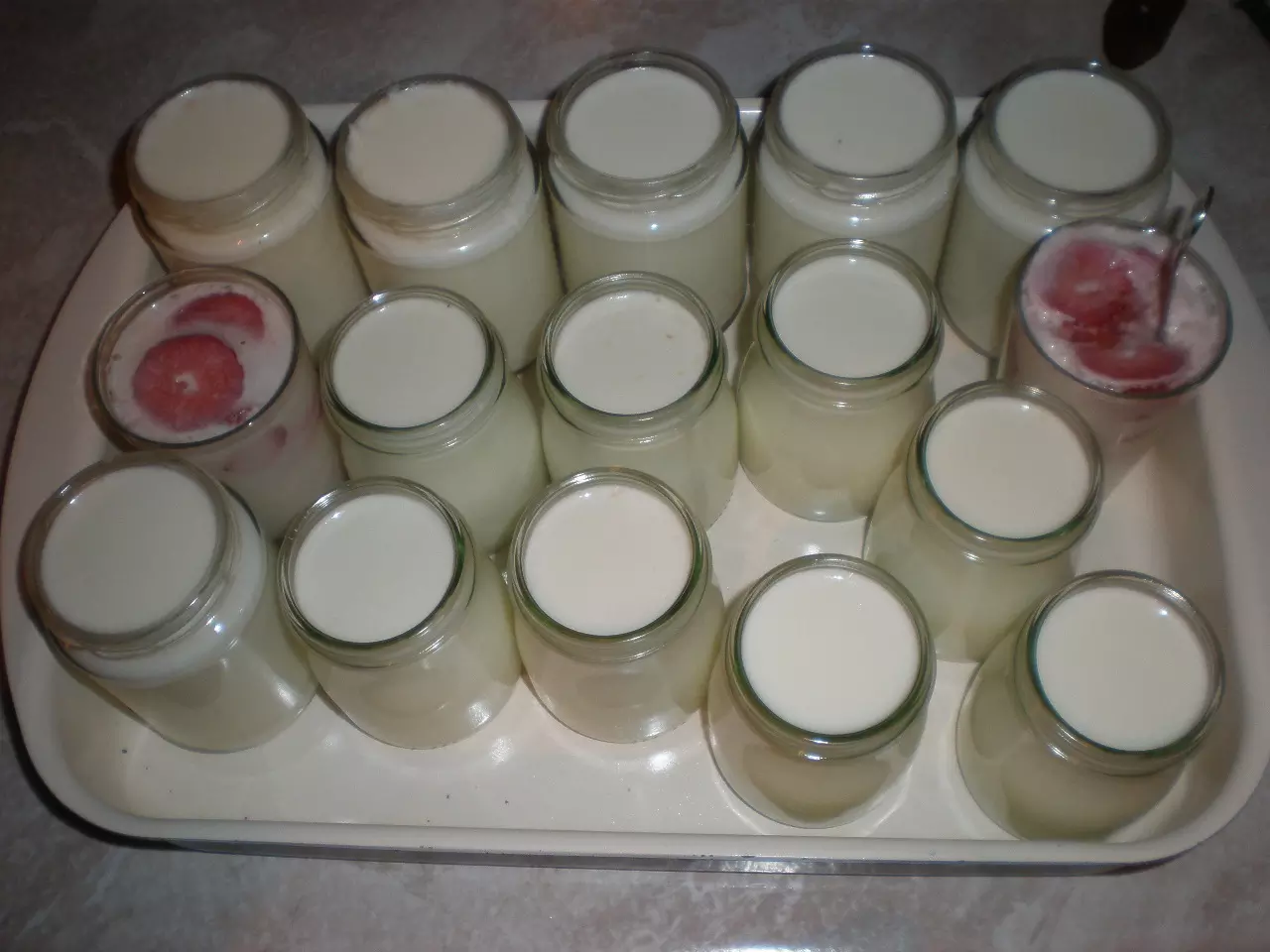 Domači jogurt