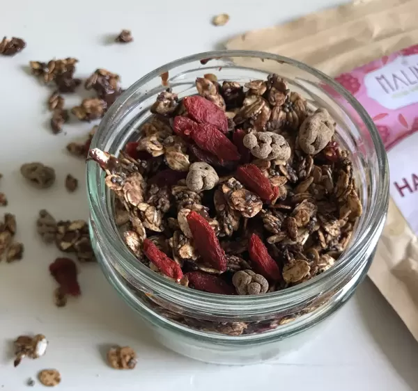 Domača granola s čokolado in goji jagodami 