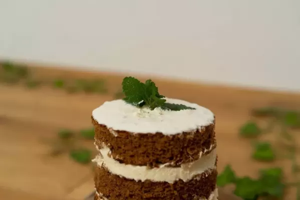 »Naked cake« kokosova tortica s kakavom