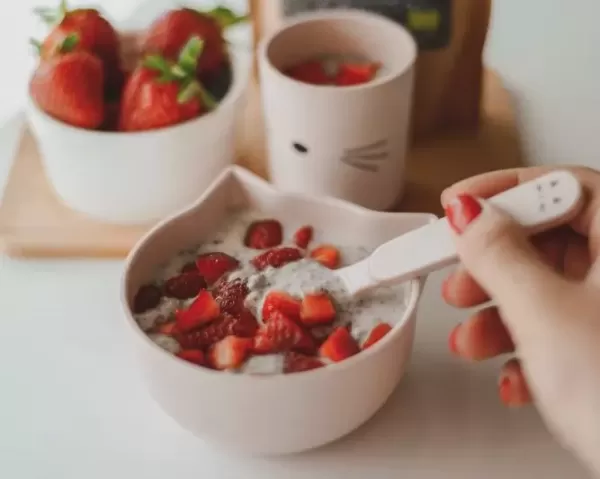 Kokosov puding s chia semeni