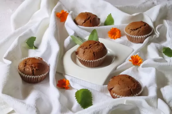 Beljakovinski čokoladni muffini