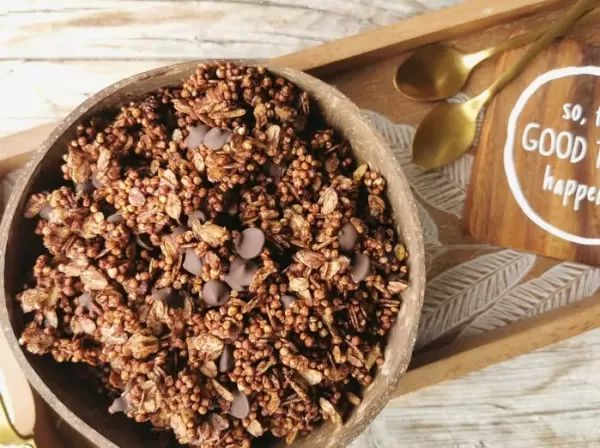 Čokoladna granola