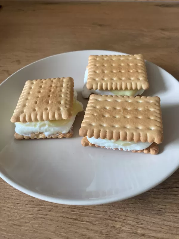Fit Sandwich-Eiscreme