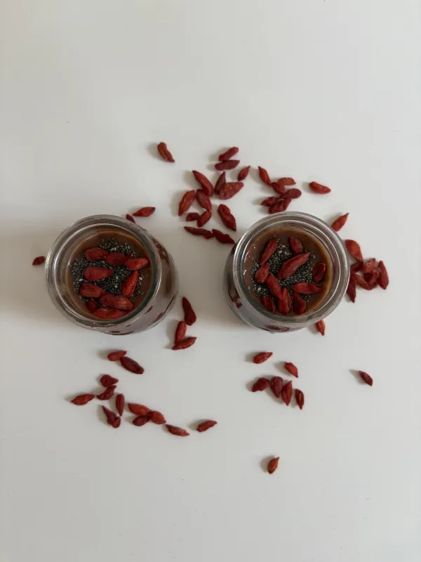 Čokoladni puding s chia semeni