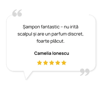 Șampon natural pentru păr